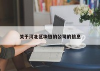 关于河北区块链的公司的信息